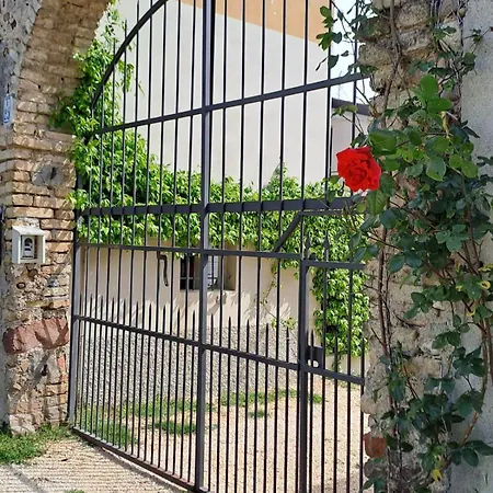 Reborn Guest house