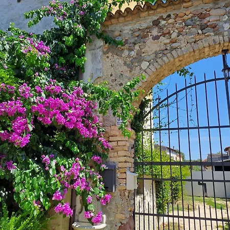 Reborn Guest house